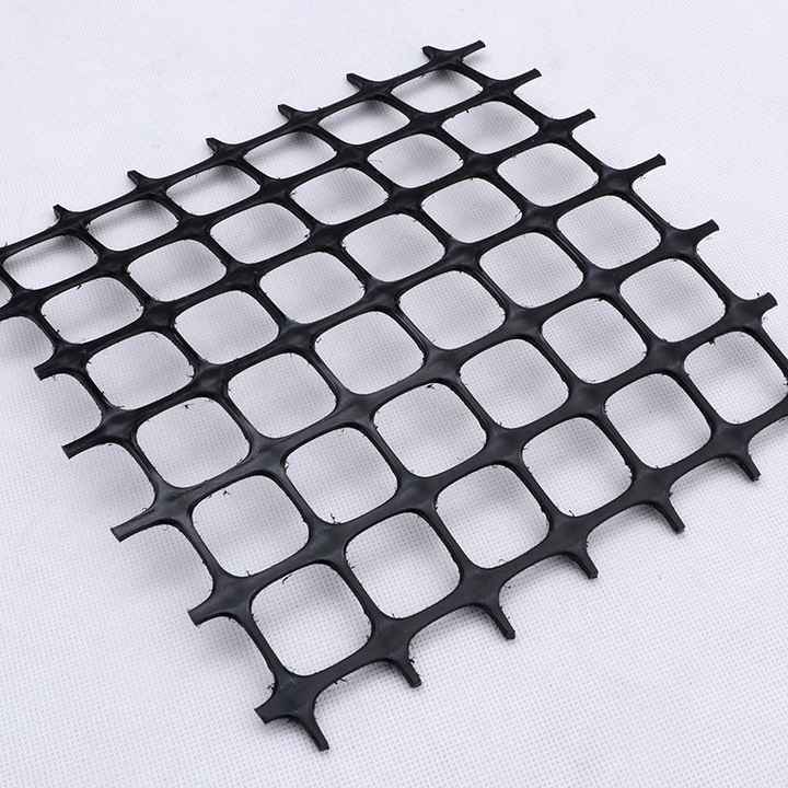 Geogrid